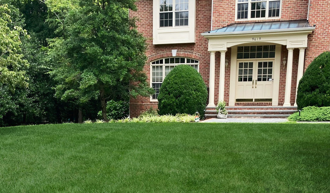 WHAT IS ORGANIC LAWN CARE?