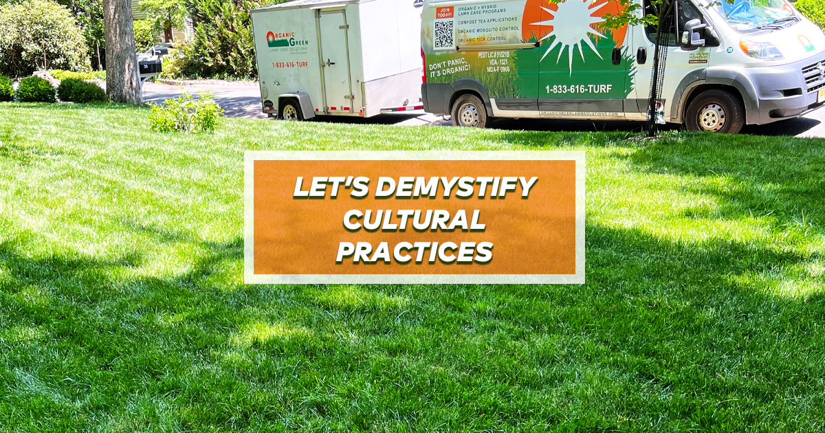 lets demystify cultural practices 