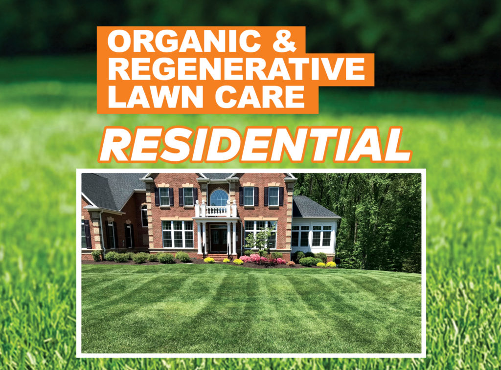 organic and regenerative lawn care fir residential